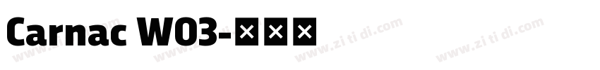 Carnac W03字体转换